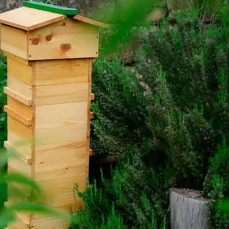 House In Istria In Pristine Nature Šmarje