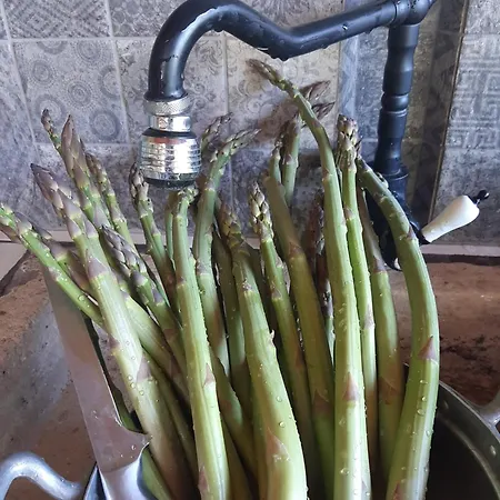 House In Istria In Pristine Nature