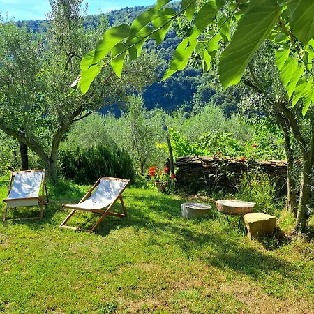 Hébergement de vacances House In Istria In Pristine Nature