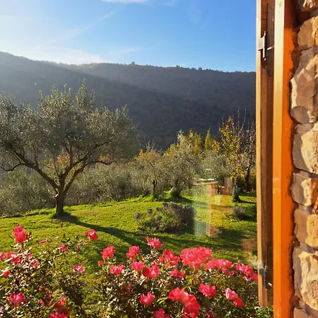 House In Istria In Pristine Nature 別荘 *