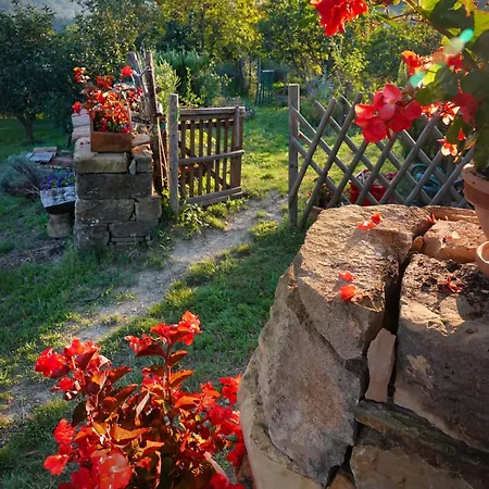 House In Istria In Pristine Nature 別荘 Šmarje