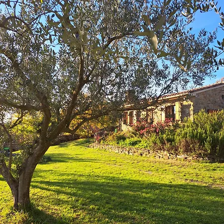 House In Istria In Pristine Nature
