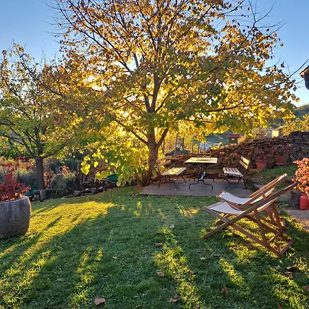 House In Istria In Pristine Nature Hébergement de vacances *