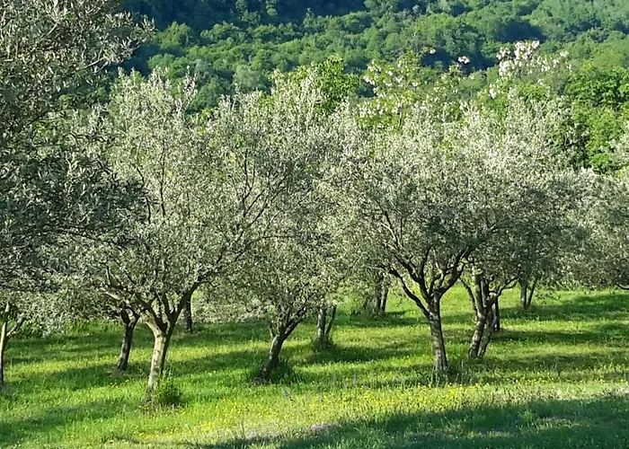 House In Istria In Pristine Nature *