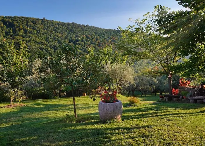House In Istria In Pristine Nature 度假居