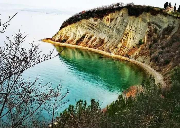 House In Istria In Pristine Nature 度假居 Šmarje