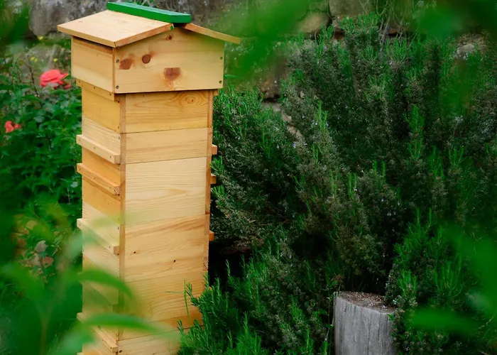 House In Istria In Pristine Nature Šmarje