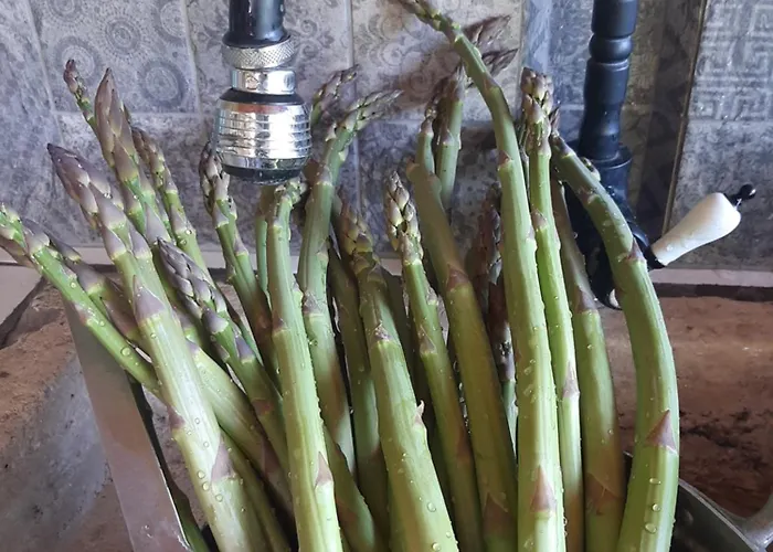 House In Istria In Pristine Nature