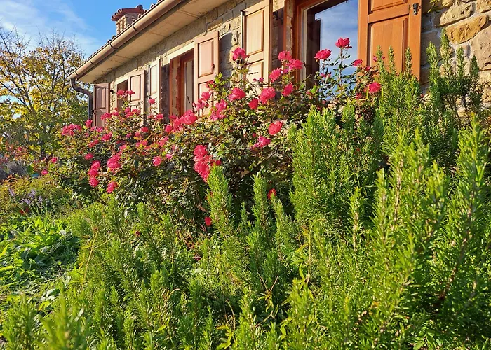 House In Istria In Pristine Nature 度假居
