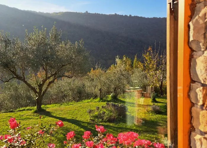 House In Istria In Pristine Nature 度假居 *